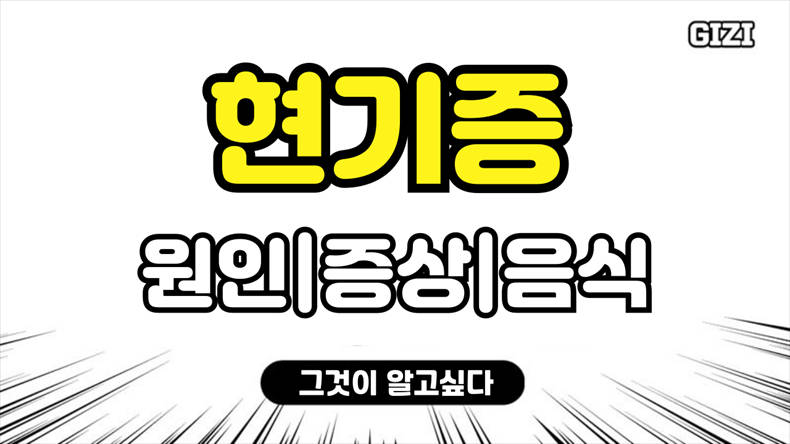 현기증어지러움원인철분음식영양제