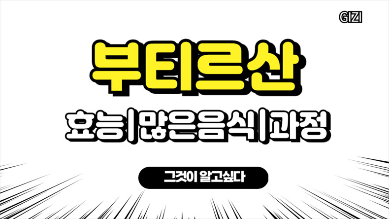 부티르산많은음식영양제