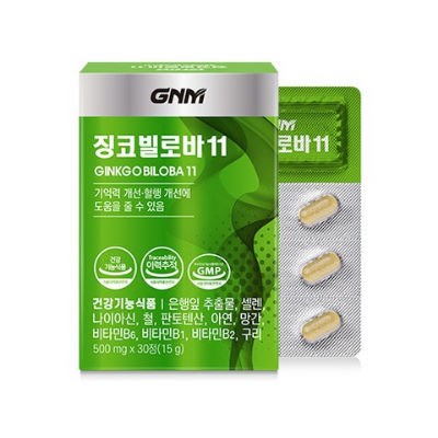 gnm 징코빌로바 은행잎추출물 기억력개선 가격 및 효능 건강기능식품