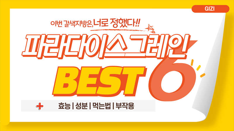파라다이스그레인효능버닝먹는법추천