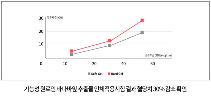 식후 혈당 상승 억제 효과 바나바잎 추출물 코로솔산 천연인슐린 효과 결과