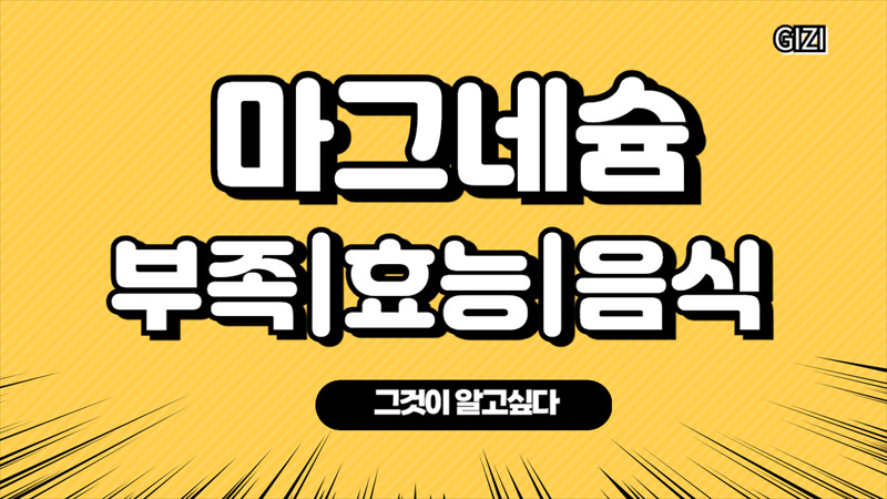 마그네슘효능영양제많은음식