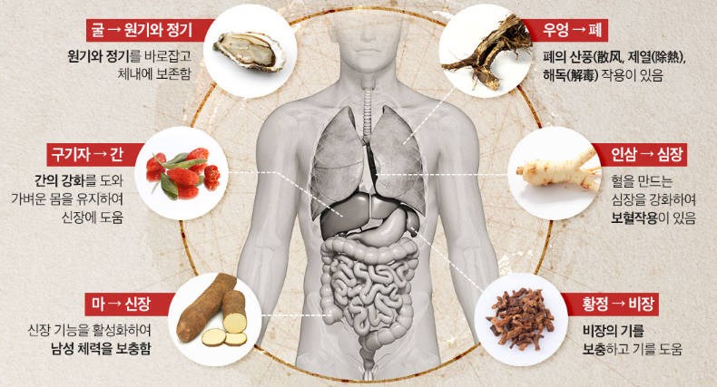 남자한테 좋은 영양제 원기회복 활력 증진 대만 엠포스 사탕 남자필수영양제 부작용