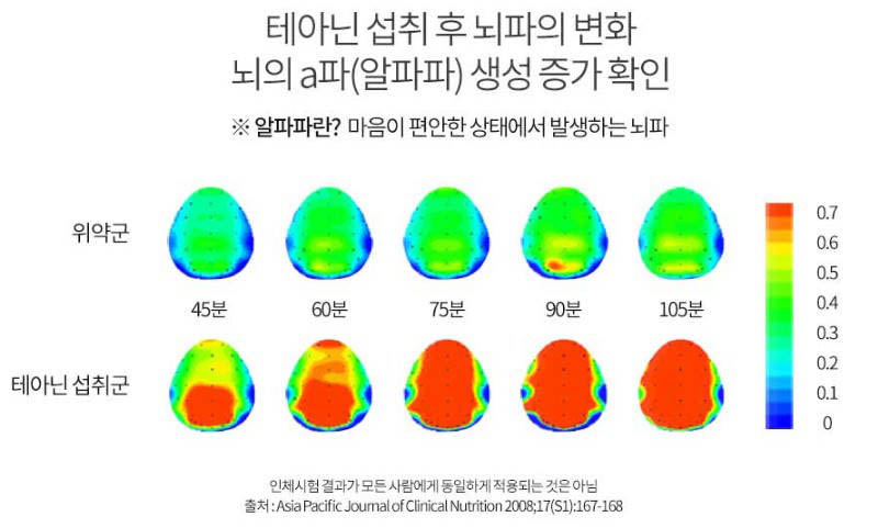 스트레스로 인한 긴장완화 수험생피로회복제 L테아닌 효과