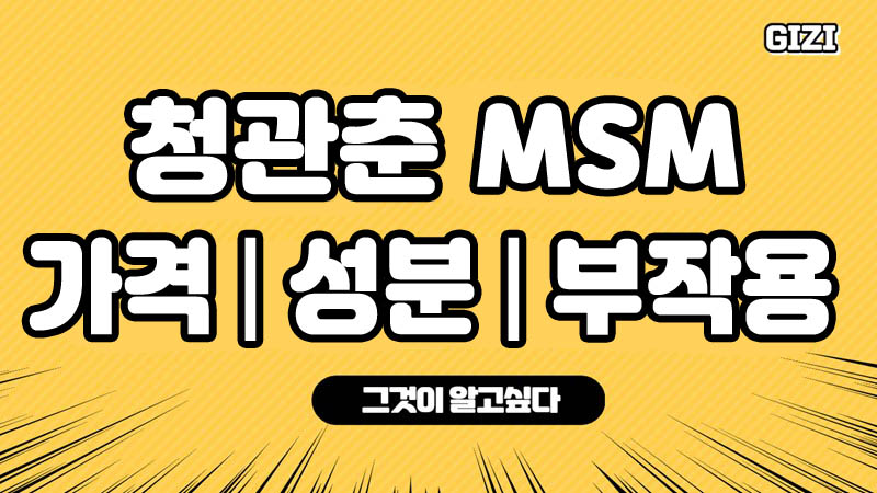 관절 연골 뼈 무릎 영양제 msm 효능