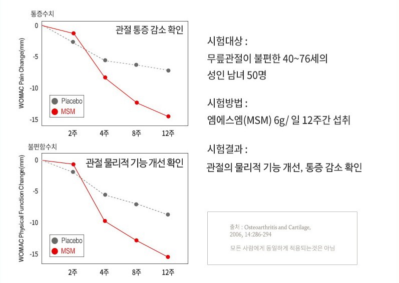 편관보 관절에좋은음식 관절연골