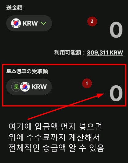 wise송금방법