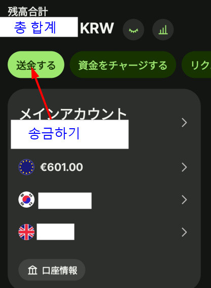 wise송금